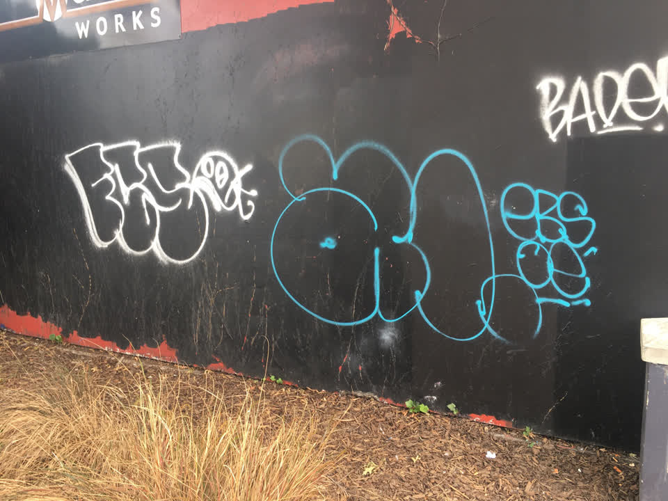 The photograph attached to this graffiti report