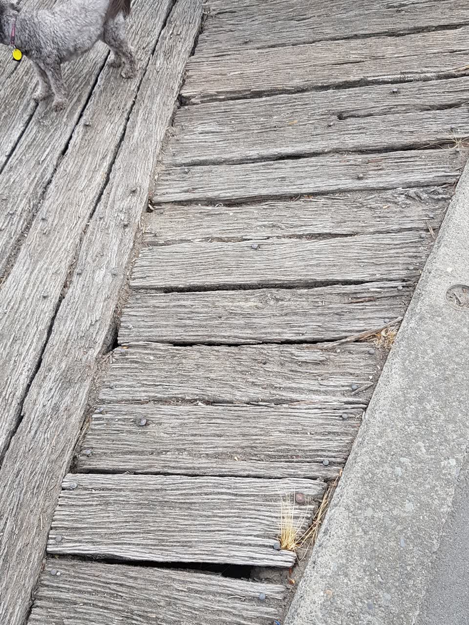 The photograph attached to this parks report