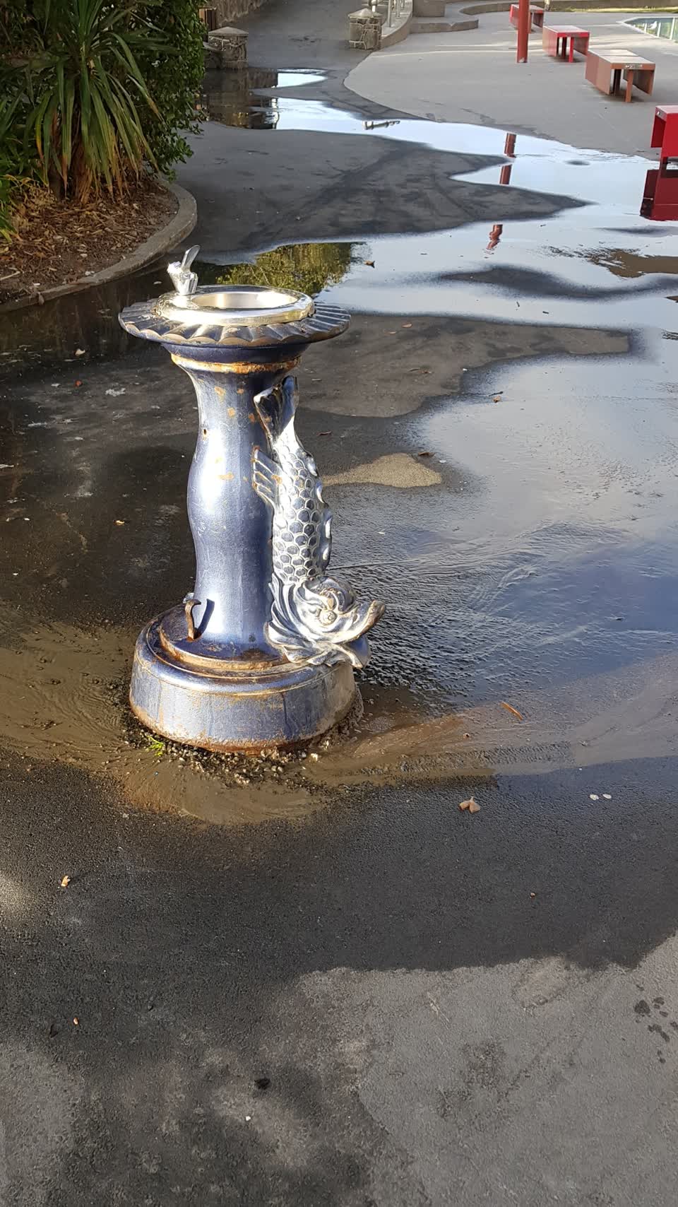 The photograph attached to this water supply report
