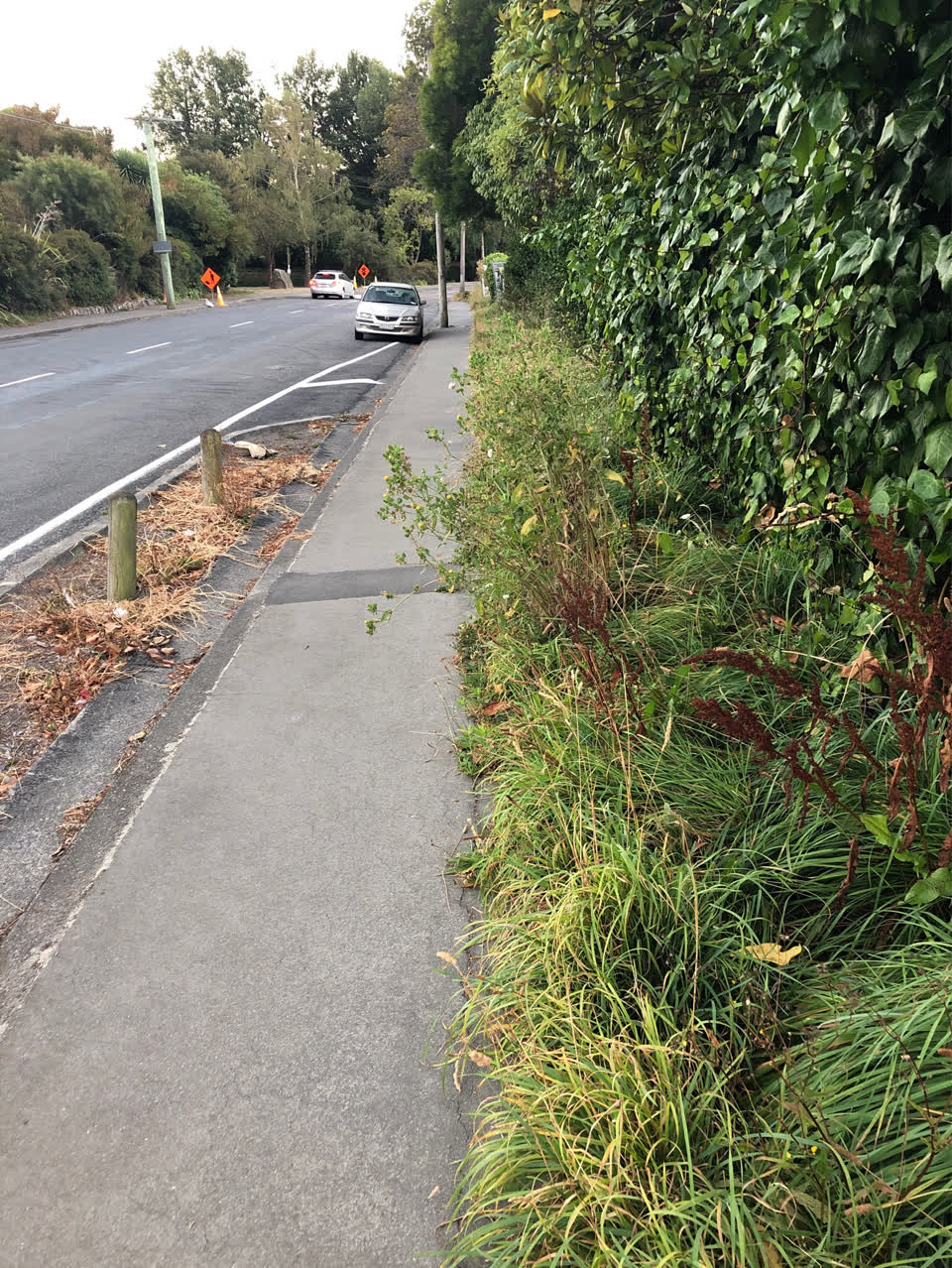 The photograph attached to this roading/streets report