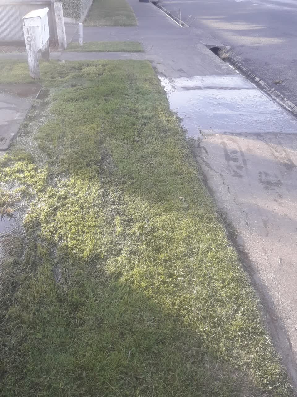 The photograph attached to this water supply report