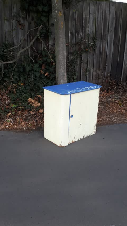 Rubbish/Recycling, a report photo