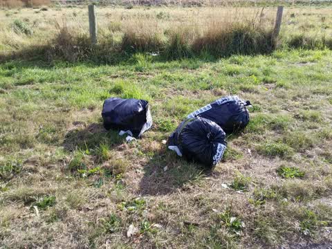Rubbish/Recycling — a report photo