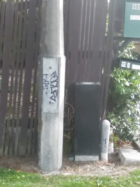 Graffiti, a report photo