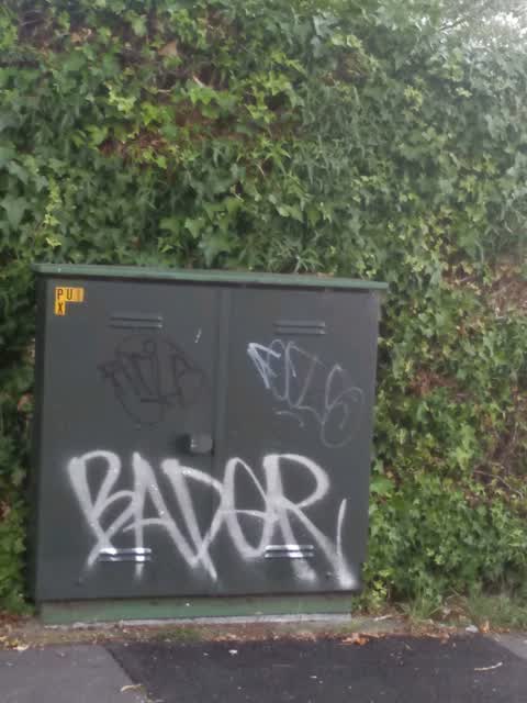 Graffiti, a report photo