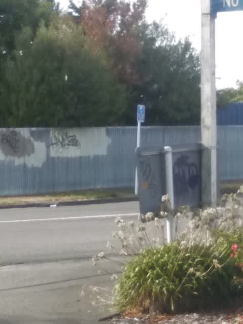 Graffiti, a report photo