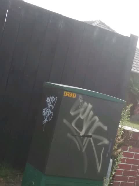 Graffiti, a report photo