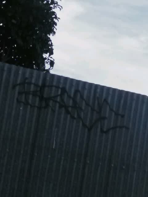 Graffiti, a report photo