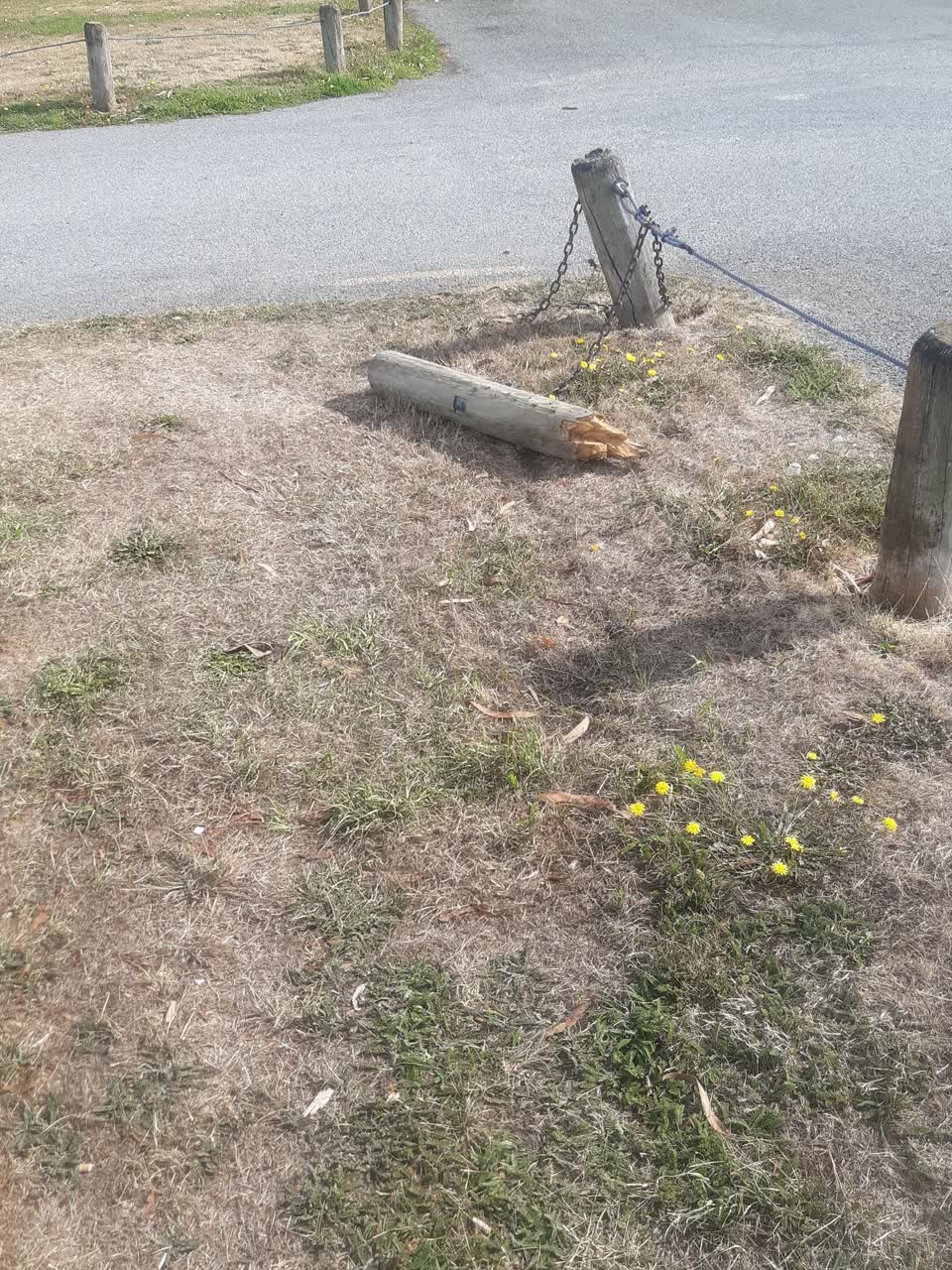 The photograph attached to this parks report
