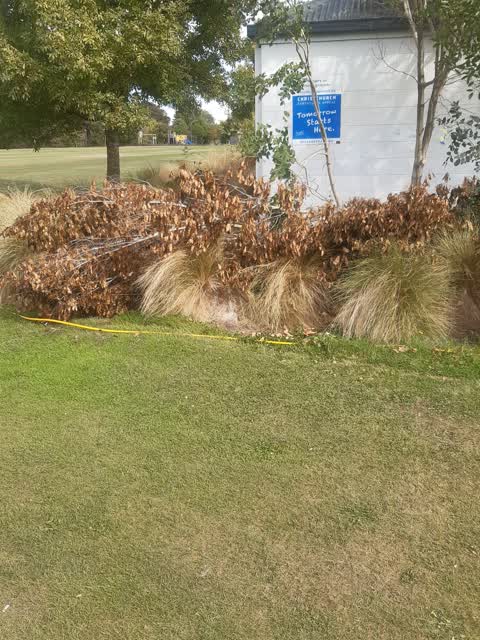 Parks, a report photo