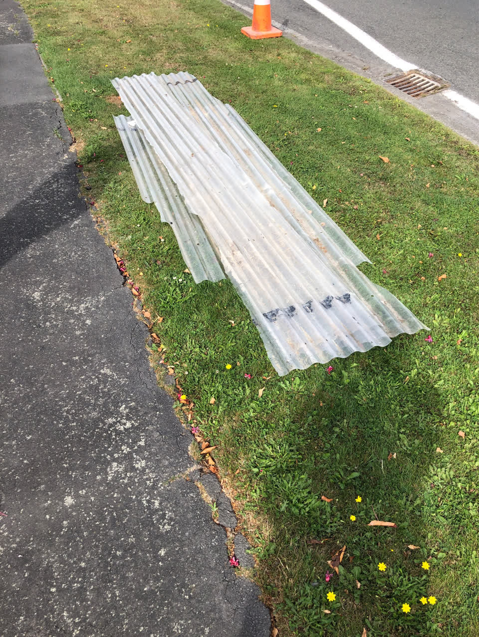 The photograph attached to this parks report