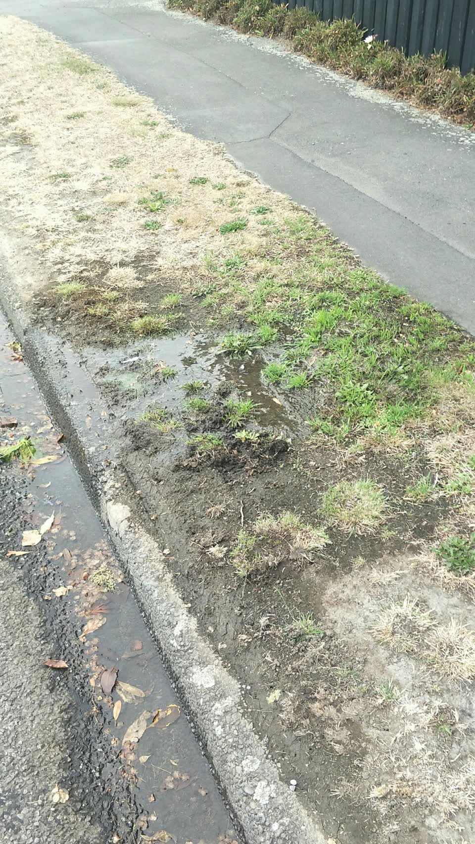 The photograph attached to this water supply report
