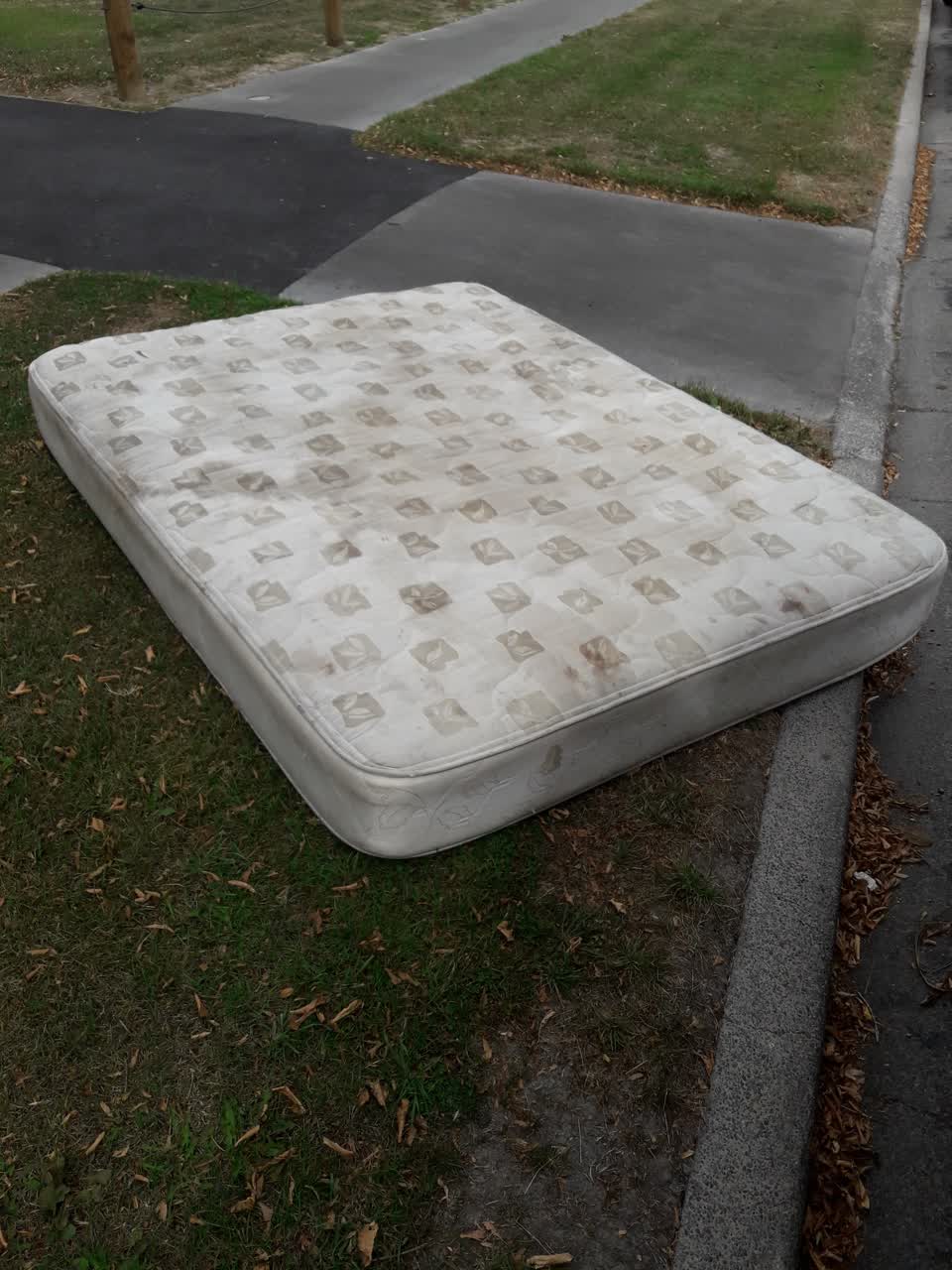 The photograph attached to this parks report