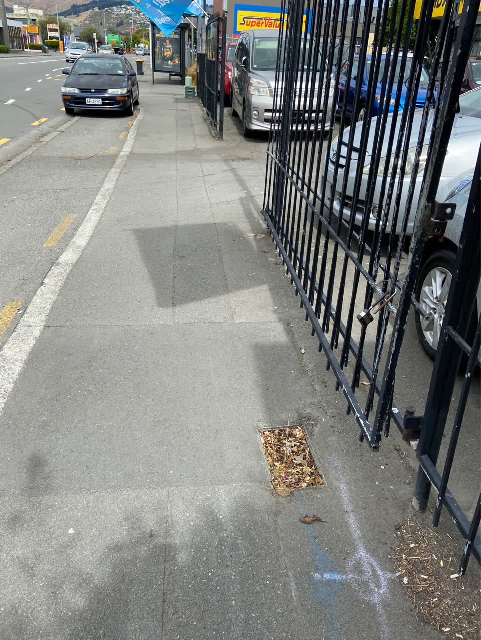 The photograph attached to this roading/streets report