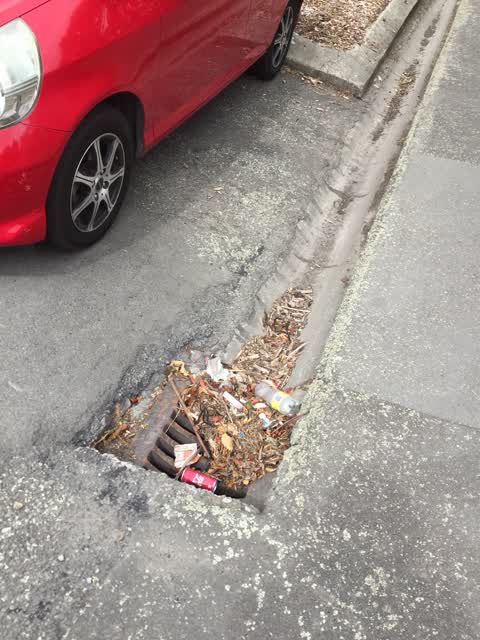 Roading/Streets, a report photo