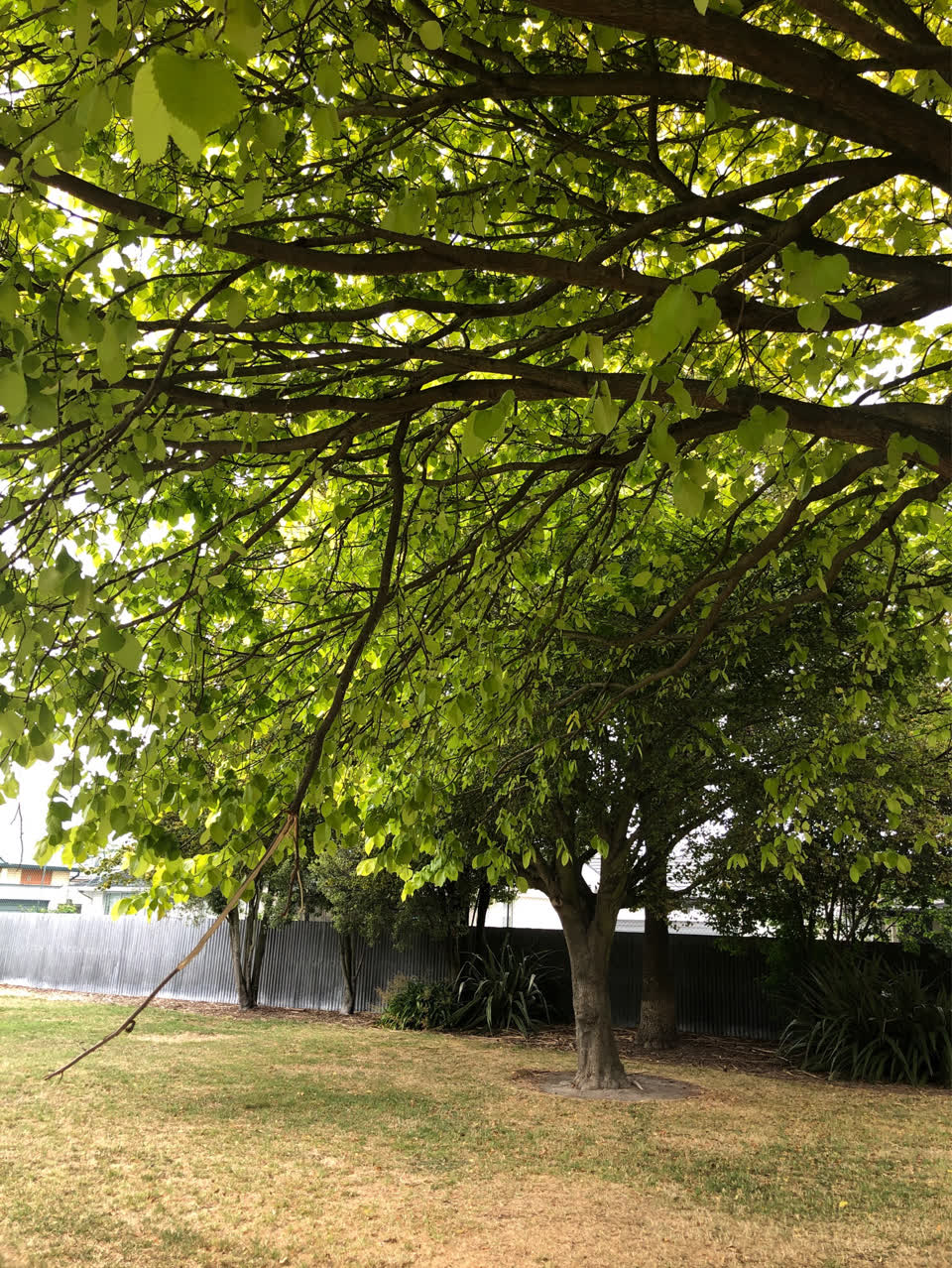 The photograph attached to this parks report
