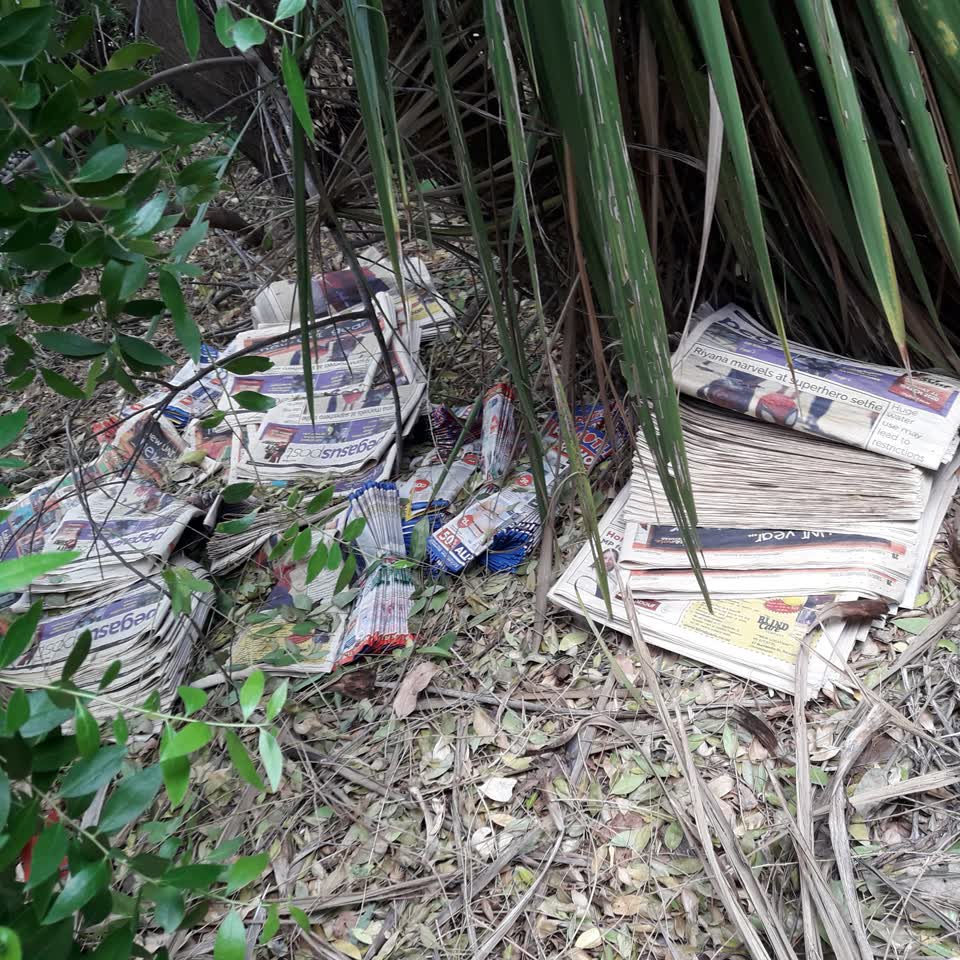 The photograph attached to this parks report