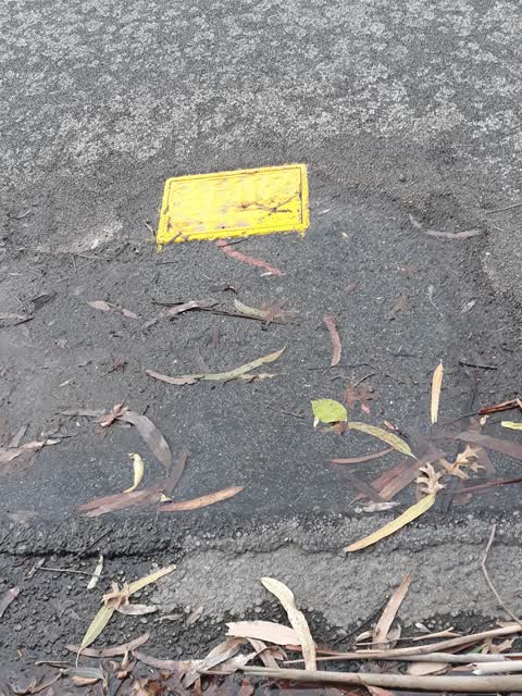 Flooding, a report photo