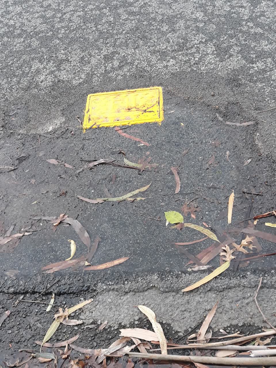 The photograph attached to this flooding report