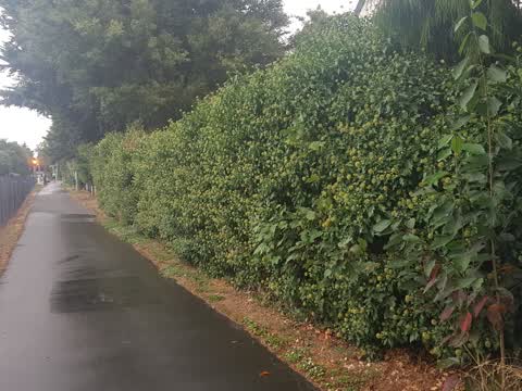 Roading/Streets, a report photo