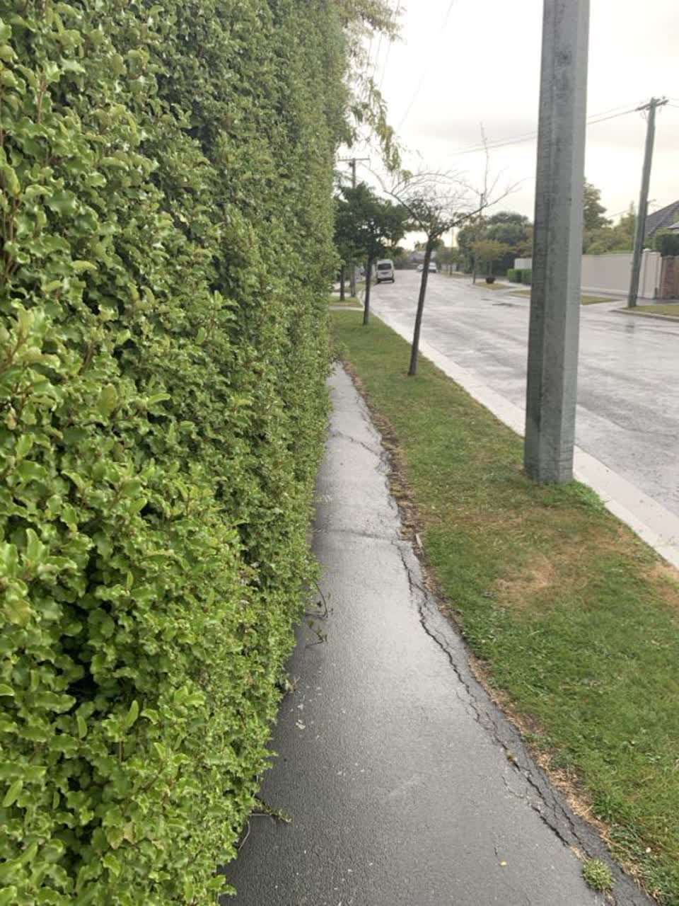 The photograph attached to this roading/streets report