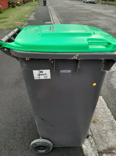 Rubbish/Recycling, a report photo