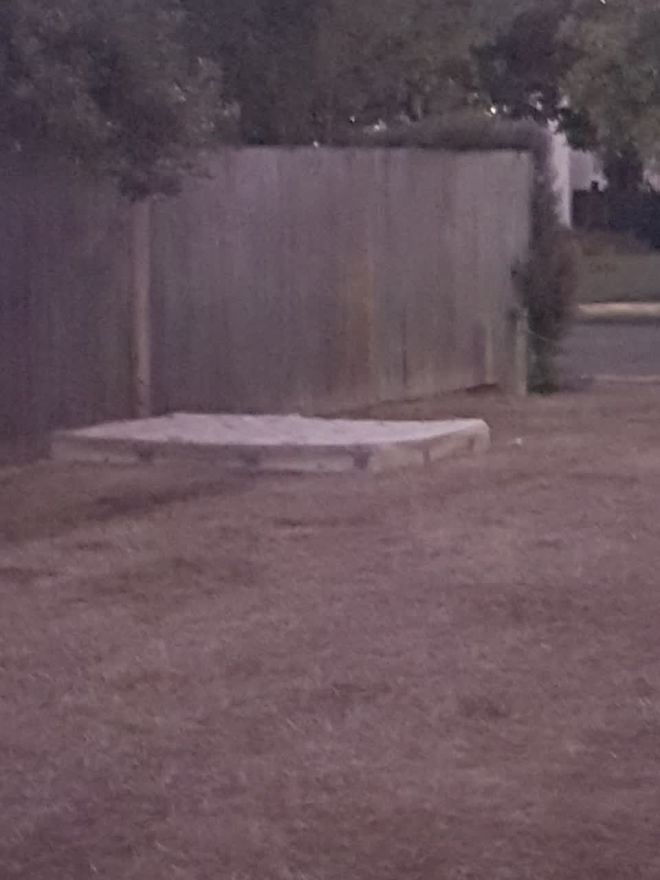 The photograph attached to this parks report