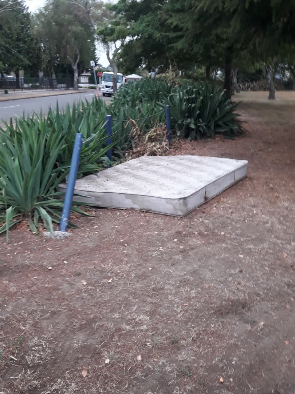 The photograph attached to this parks report
