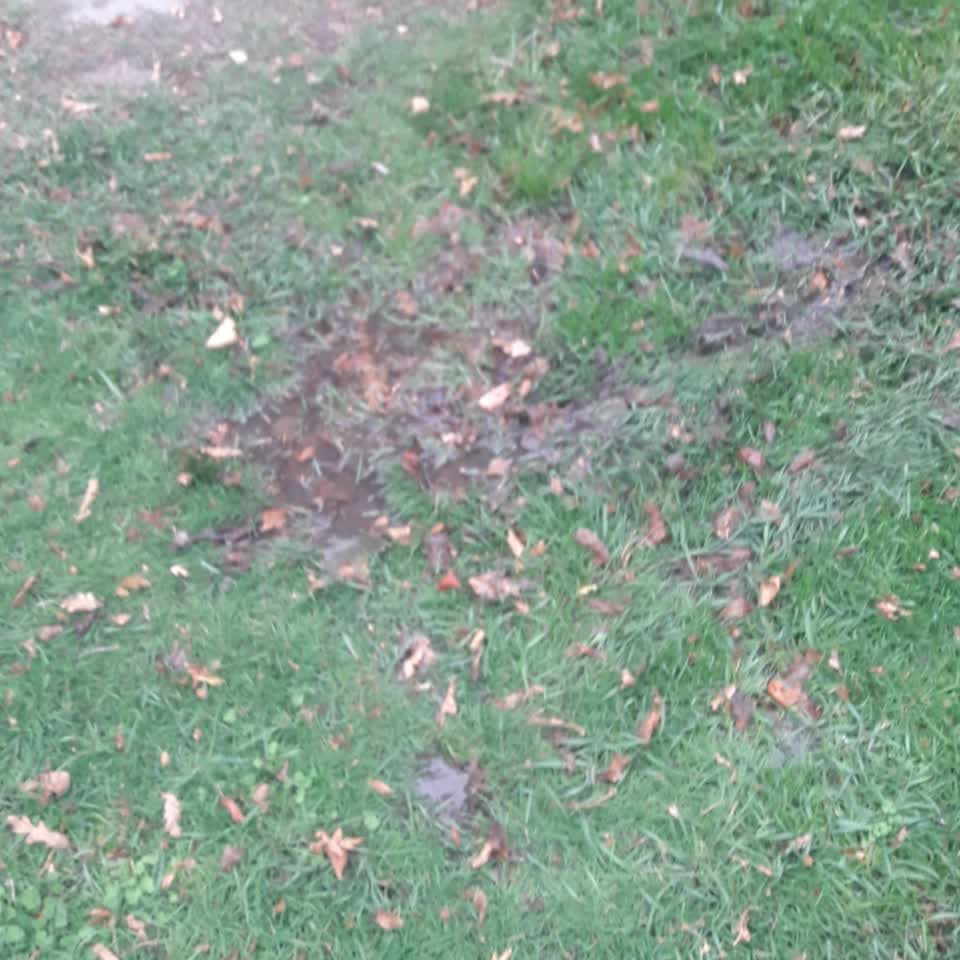 The photograph attached to this parks report