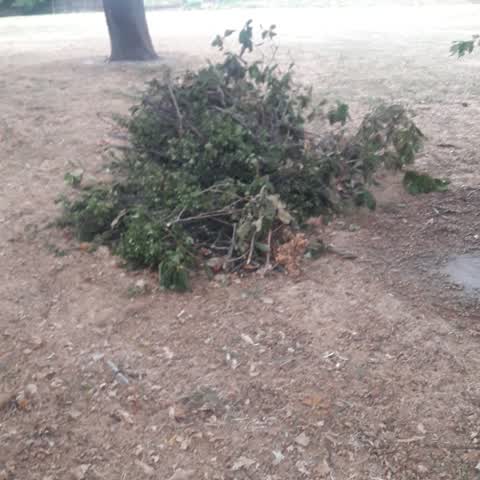 Parks, a report photo