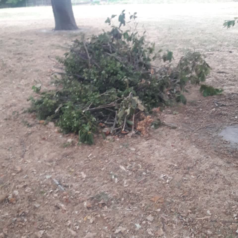 The photograph attached to this parks report