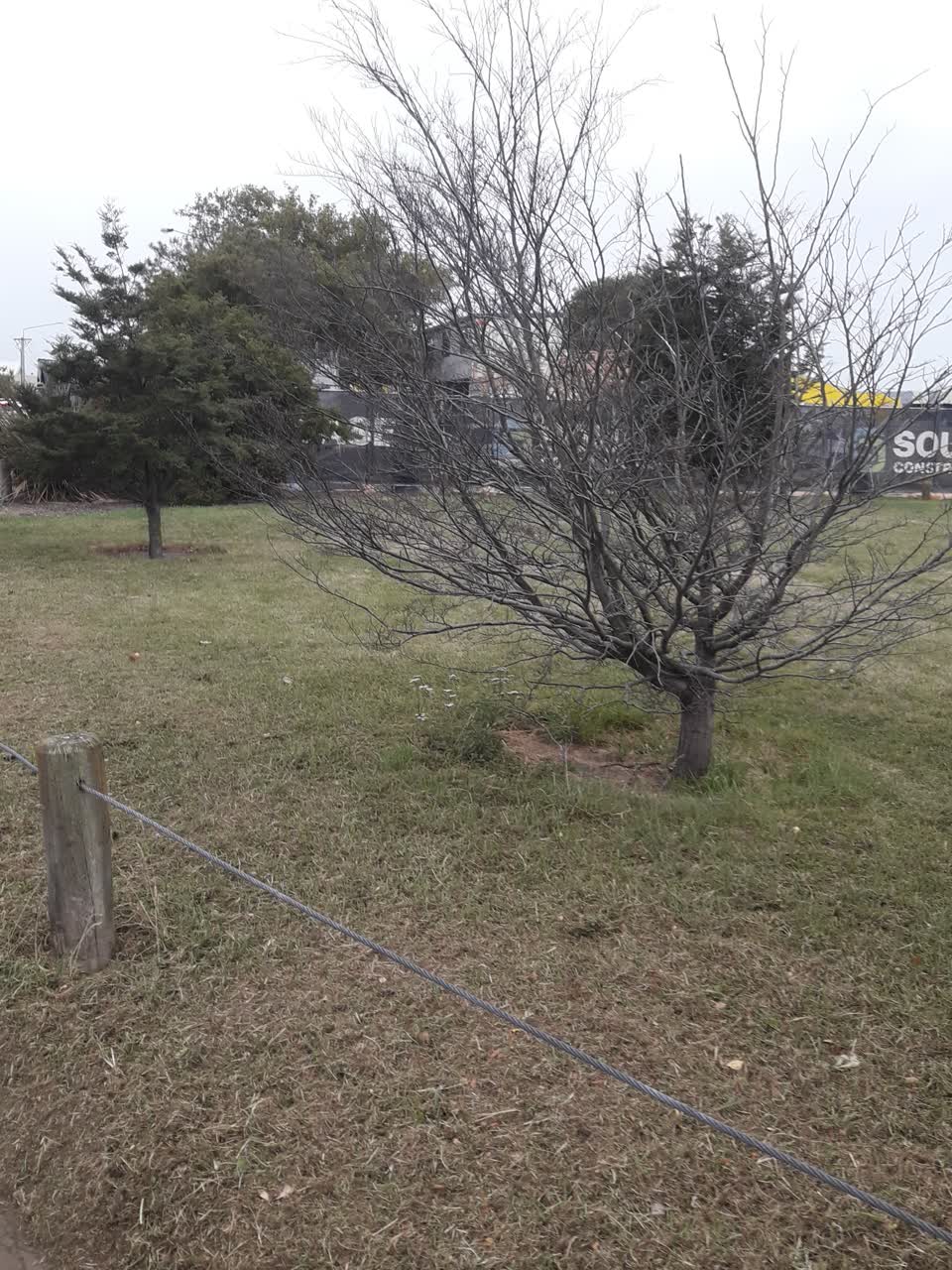The photograph attached to this parks report