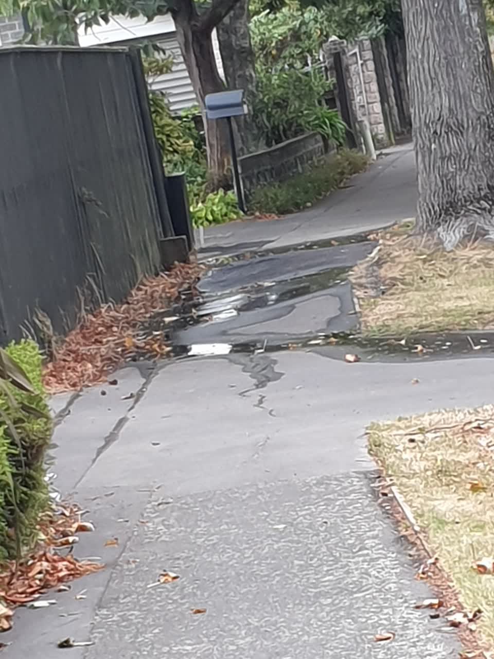 The photograph attached to this water supply report