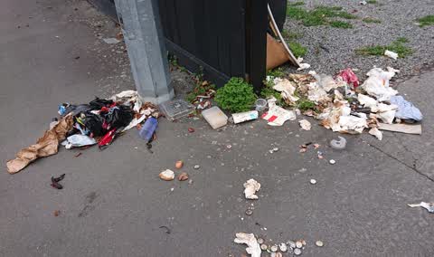 Rubbish/Recycling, a report photo