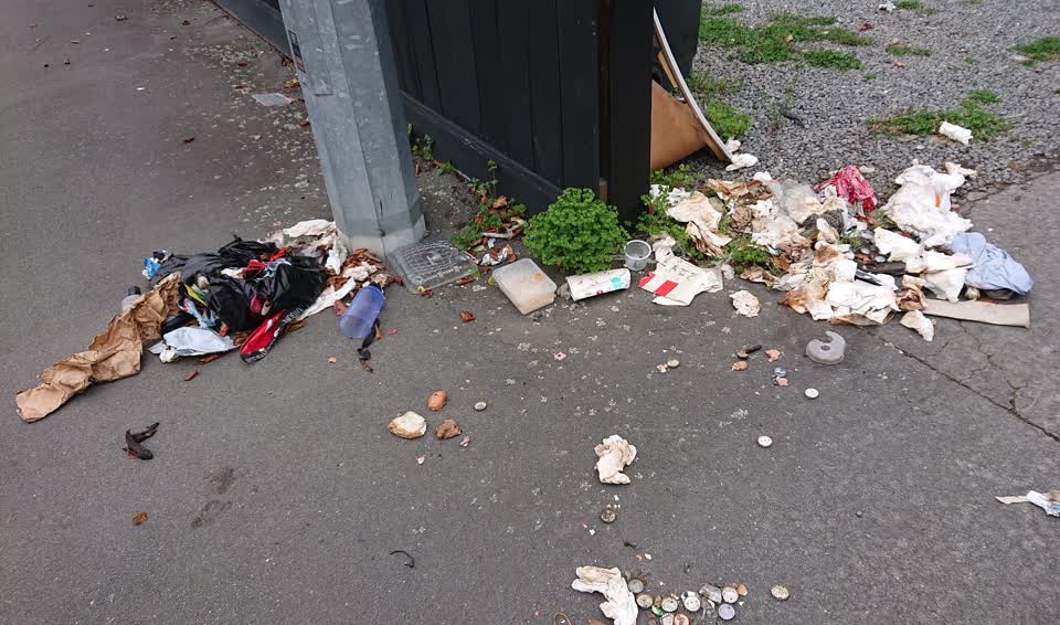 The photograph attached to this rubbish/recycling report