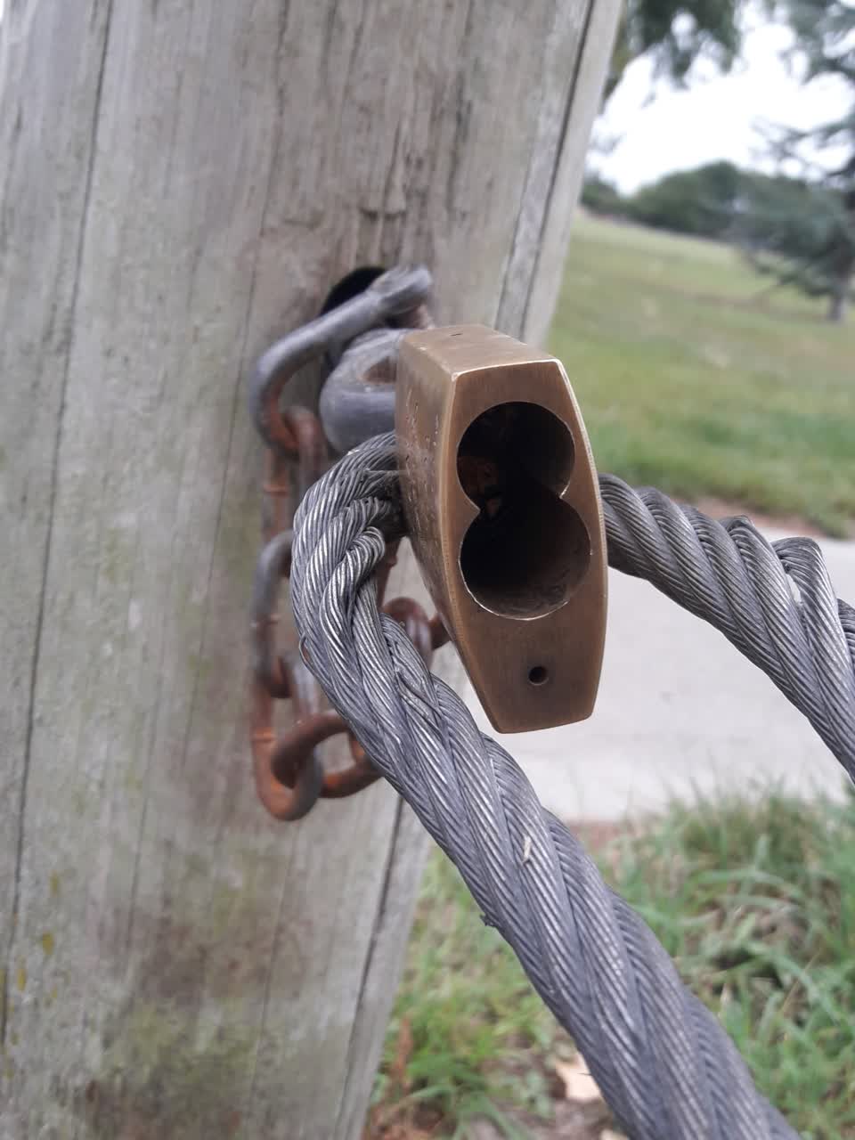 The photograph attached to this parks report