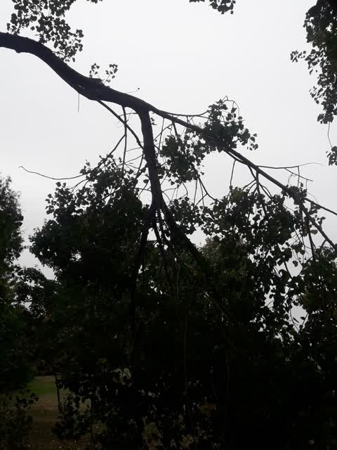 Parks, a report photo