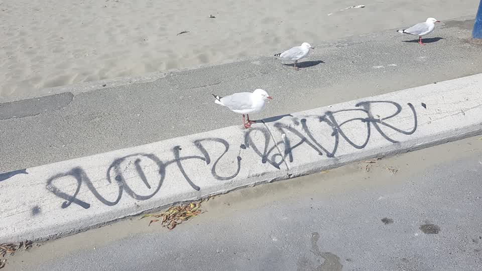The photograph attached to this graffiti report