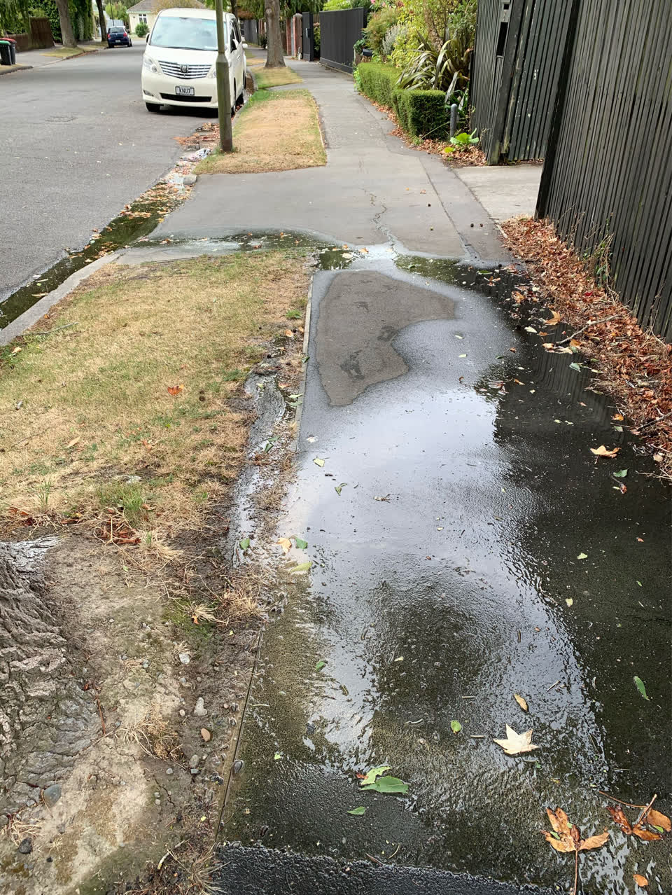 The photograph attached to this water supply report