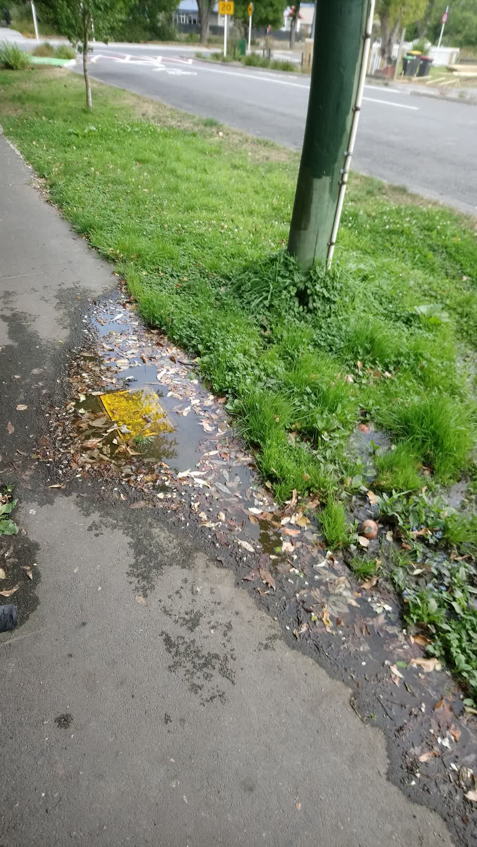 The photograph attached to this water supply report
