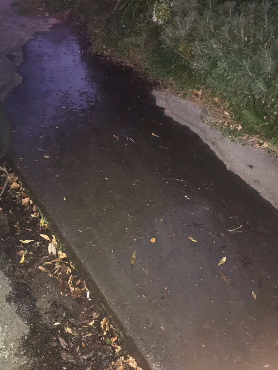 The photograph attached to this water supply report
