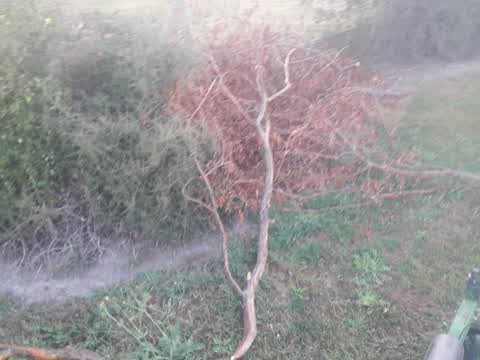 Parks, a report photo