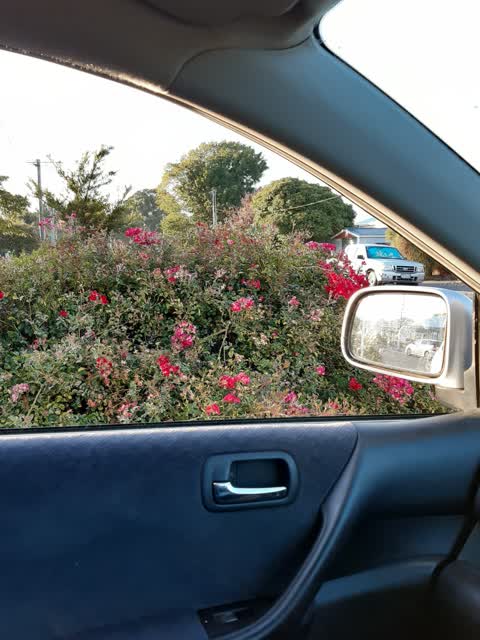 Roading/Streets, a report photo