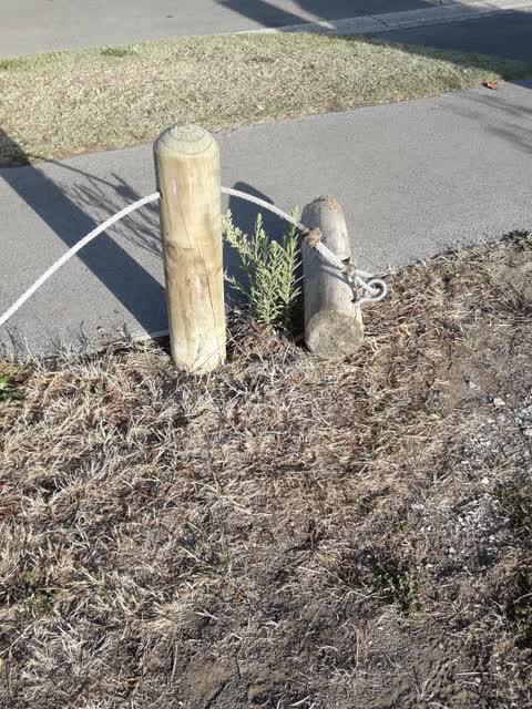 Parks, a report photo