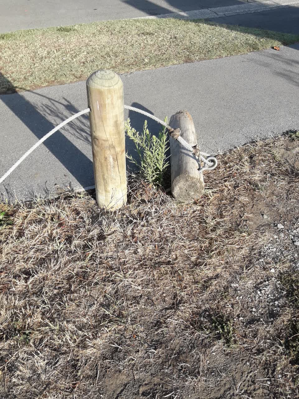The photograph attached to this parks report