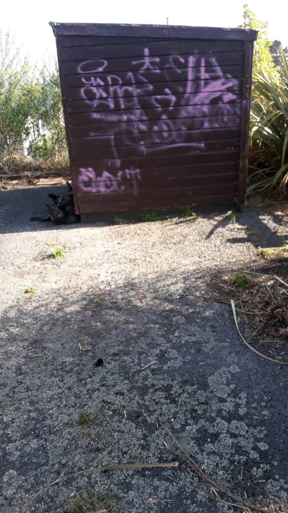 The photograph attached to this parks report