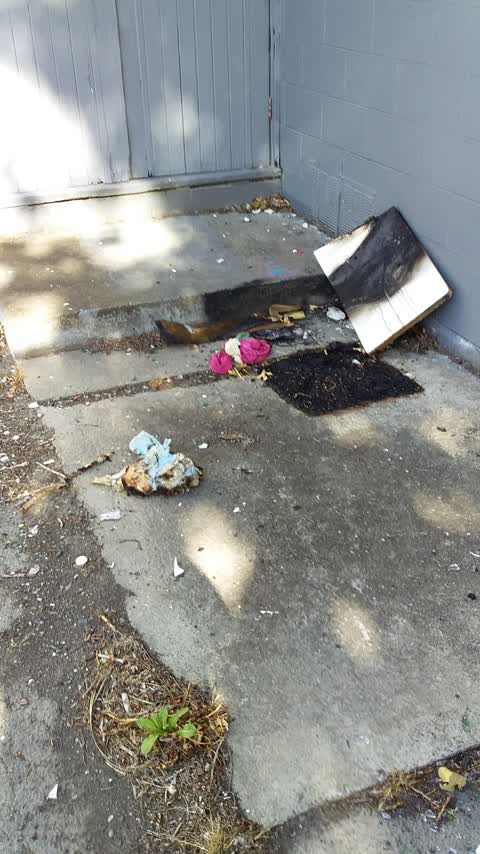 Rubbish/Recycling — a report photo