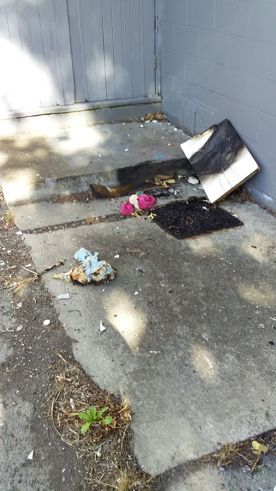 The photograph attached to this rubbish/recycling report