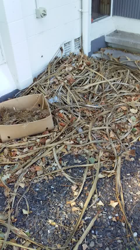 Rubbish/Recycling — a report photo