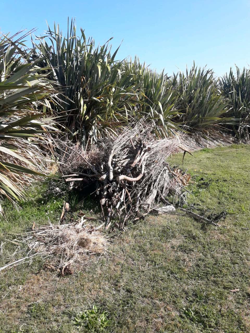 The photograph attached to this parks report
